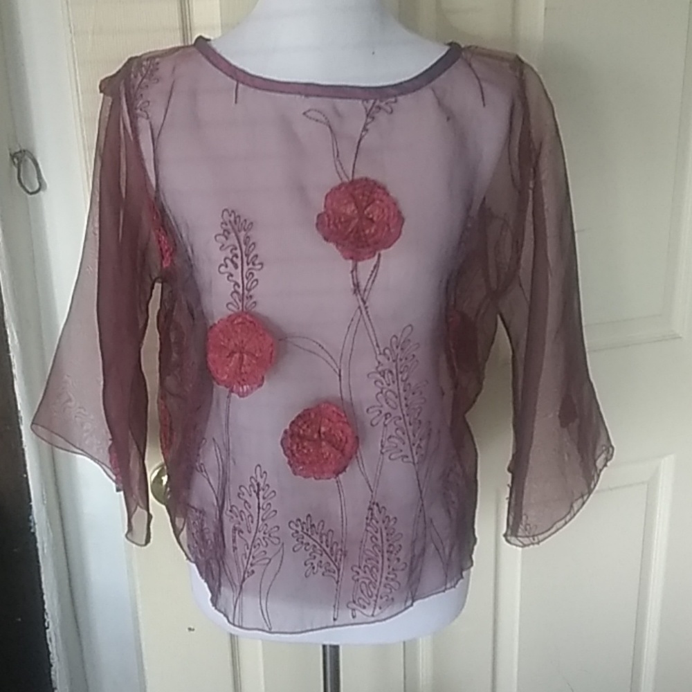 Sheer Maroon Blouse
